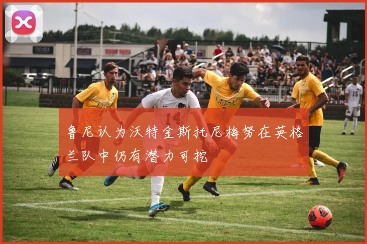 鲁尼认为沃特金斯托尼梅努在英格兰队中仍有潜力可挖